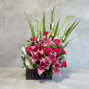 Magia Fucsia